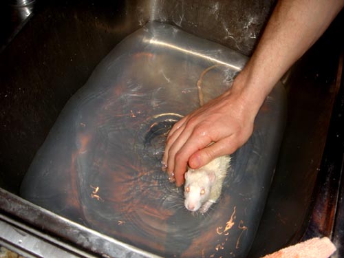 bath