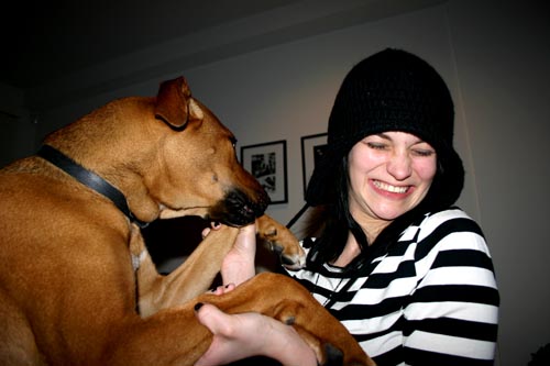 leigh + dogs