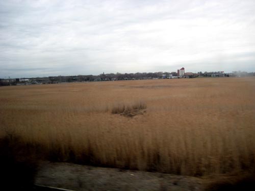 train