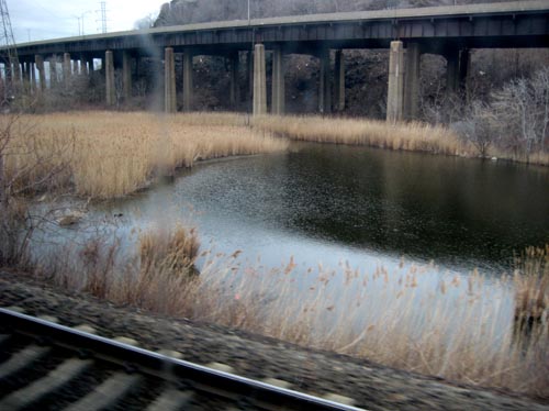 train