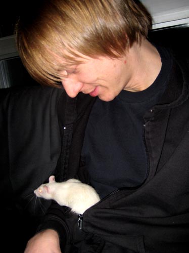 ratso