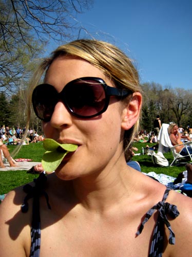 karen + food