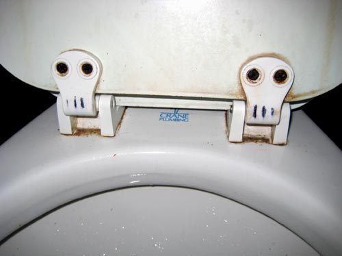 toilet