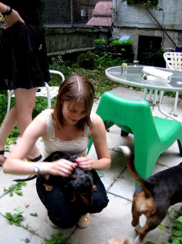 dogs + meredith