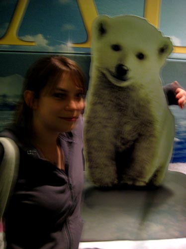 bear