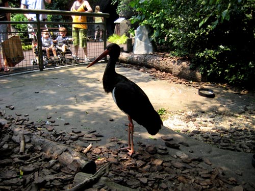 zoo