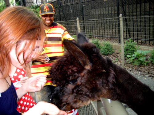 zoo