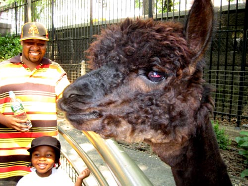 zoo