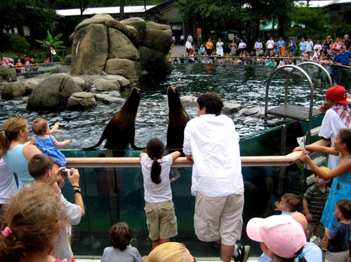 zoo