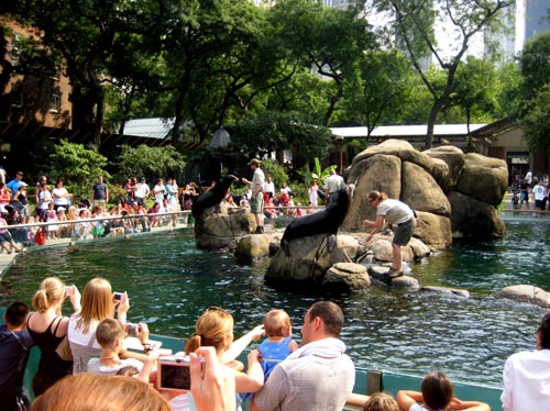 zoo