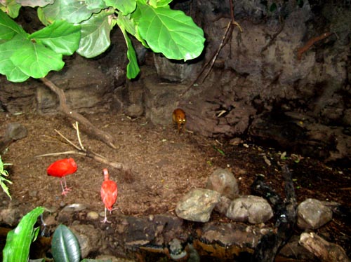 zoo