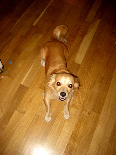 september 4, 2007