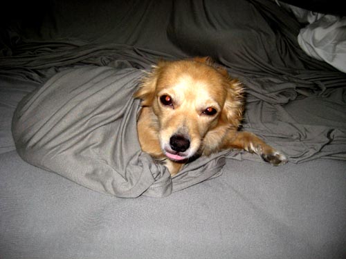 sleepy