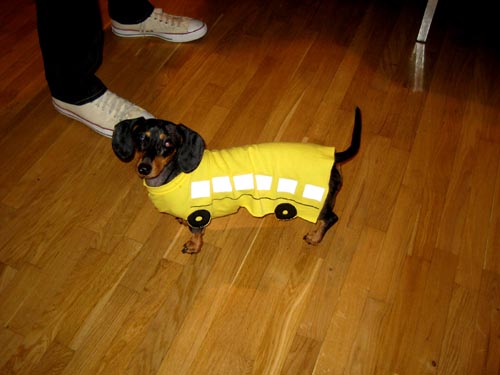 dressed up