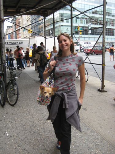 dog in a bag