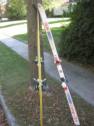 skis