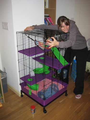 cage