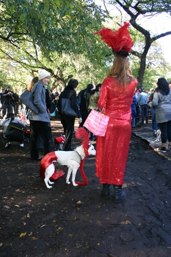 tompkins + halloween