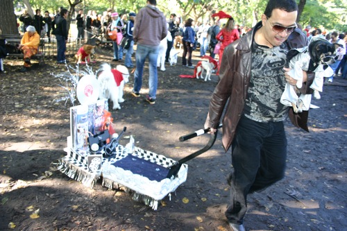 tompkins + halloween