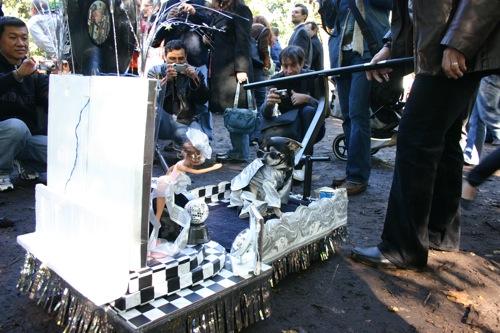 tompkins + halloween