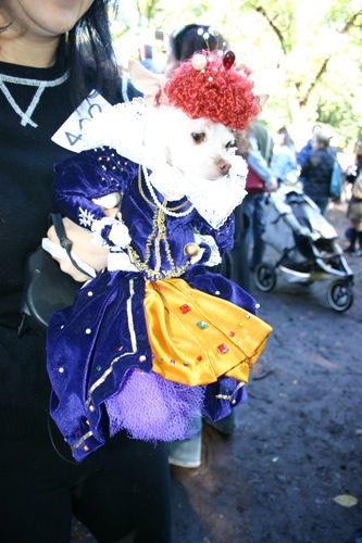 tompkins + halloween