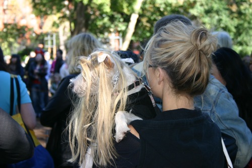 tompkins + halloween