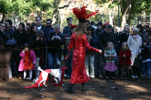 tompkins + halloween