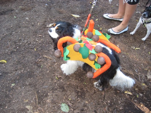 taco