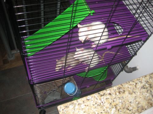 cage