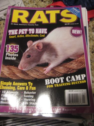 magazine