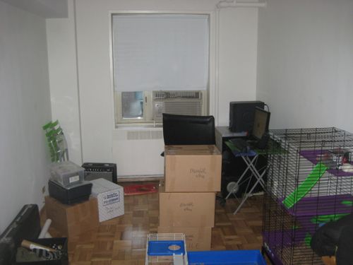 stuytown apt