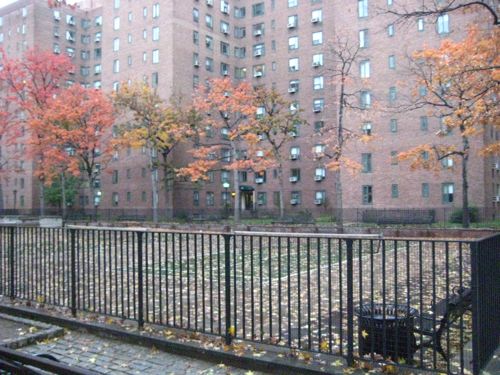 stuytown