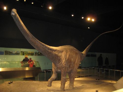 museum + dinosaur