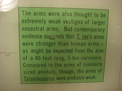 t-rex