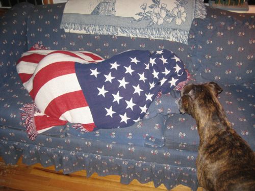 flag