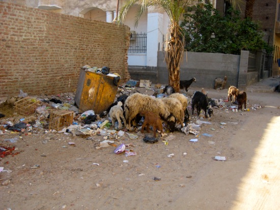 trash