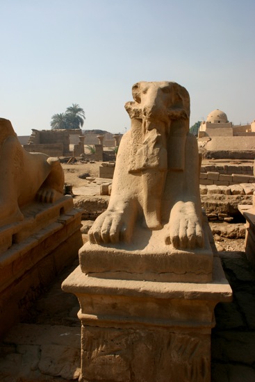 sphinx