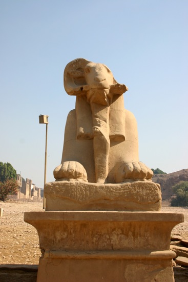 sphinx