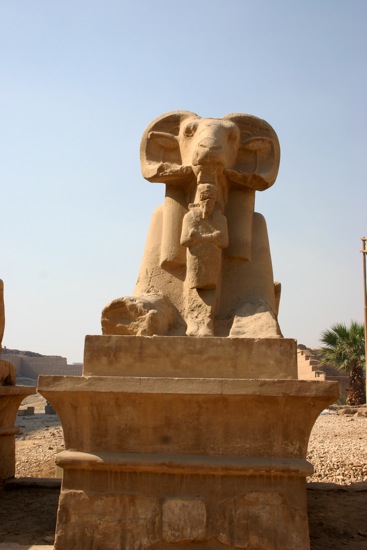 sphinx