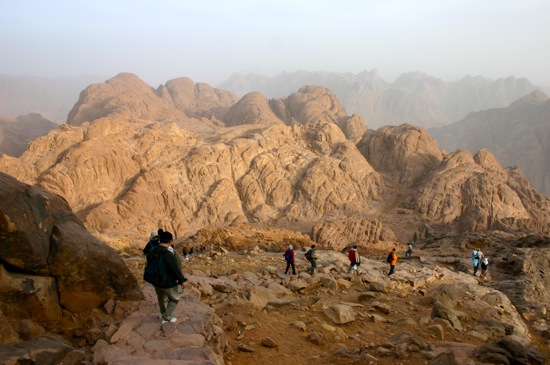 mount sinai
