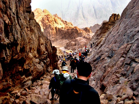 mount sinai
