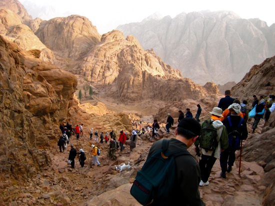 mount sinai