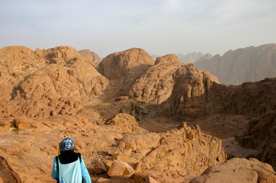 mount sinai