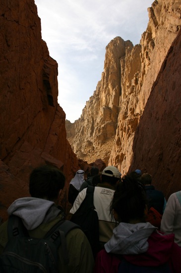 mount sinai