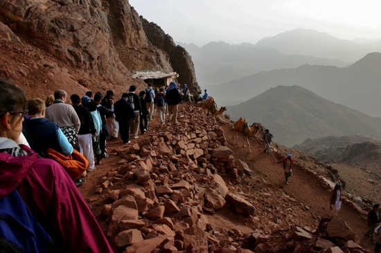 mount sinai