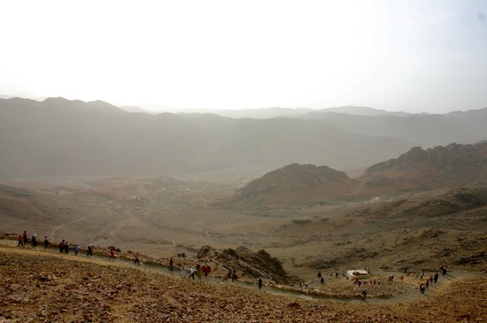 mount sinai