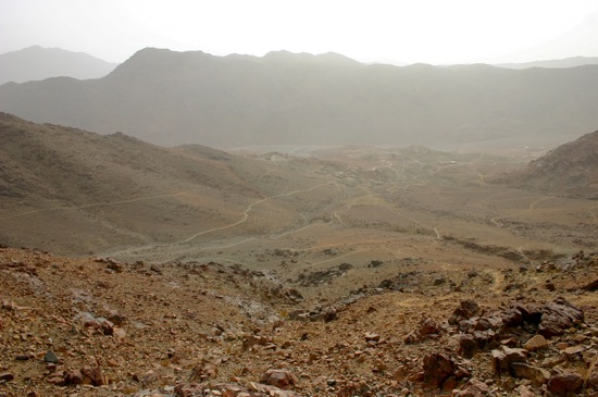 mount sinai