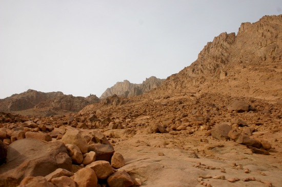 mount sinai