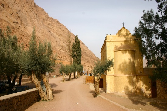 mount sinai