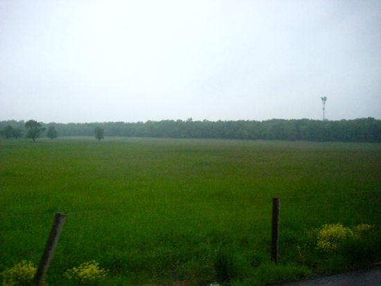 field